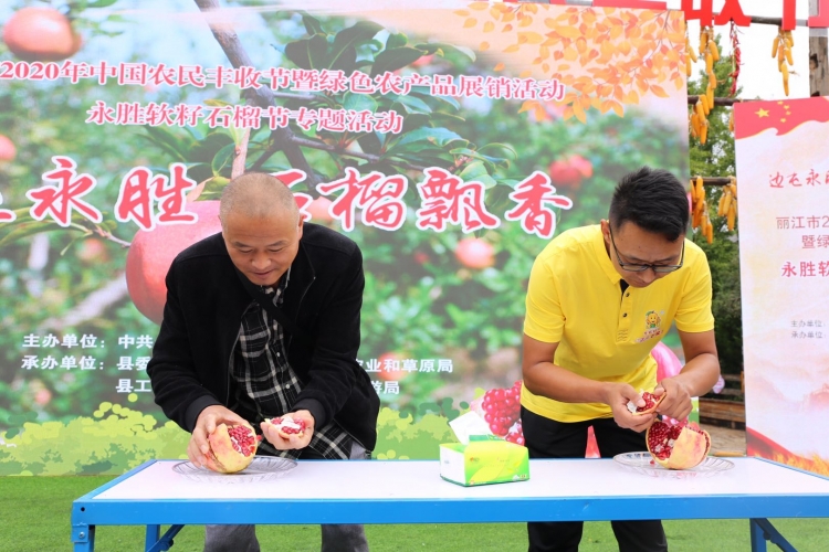 永胜软籽石榴的魅力究竟在哪？单个石榴王售价500元，竟有人一买就是两箱！ (11).jpg