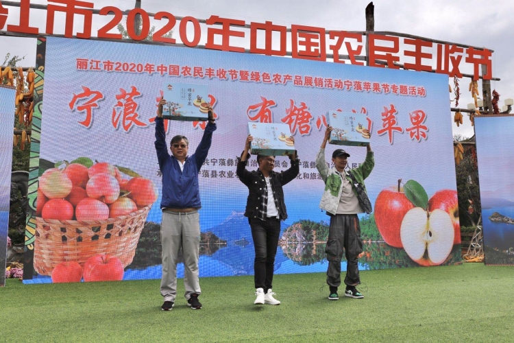 离太阳最近 离城市最远的宁蒗蜂蜜苹果亮相丽江古城6.jpg