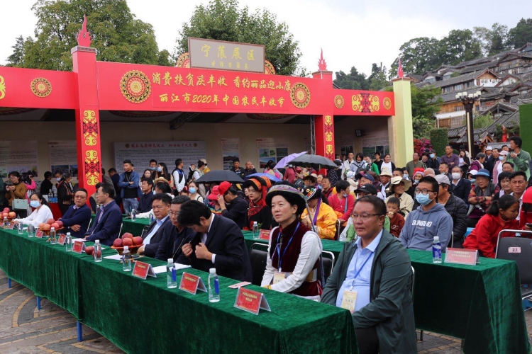 离太阳最近 离城市最远的宁蒗蜂蜜苹果亮相丽江古城5.jpg