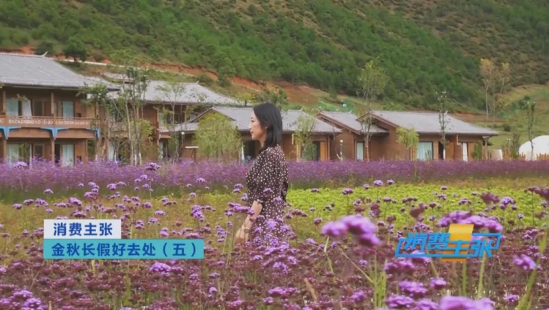 丽江又上央视了！央视《消费主张》力推丽江，金秋好去处 (1).jpg