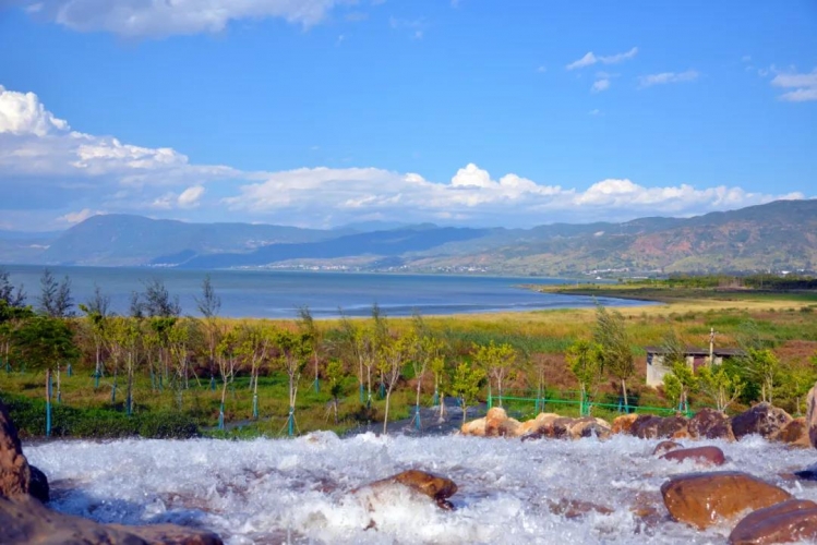 湖滨生态修复见实效，“美丽程海”再现 (2).jpg