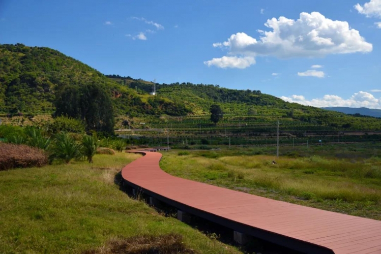 湖滨生态修复见实效，“美丽程海”再现 (3).jpg