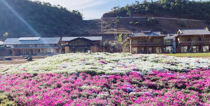 丽江股份投资近3亿的假日酒店项目 尚有10余亩用地未挂牌出让 (3).png