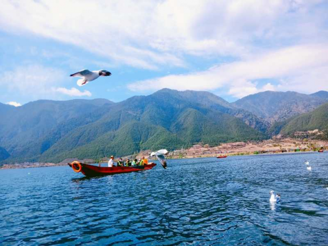 丽江股份投资近3亿的假日酒店项目 尚有10余亩用地未挂牌出让 (4).png