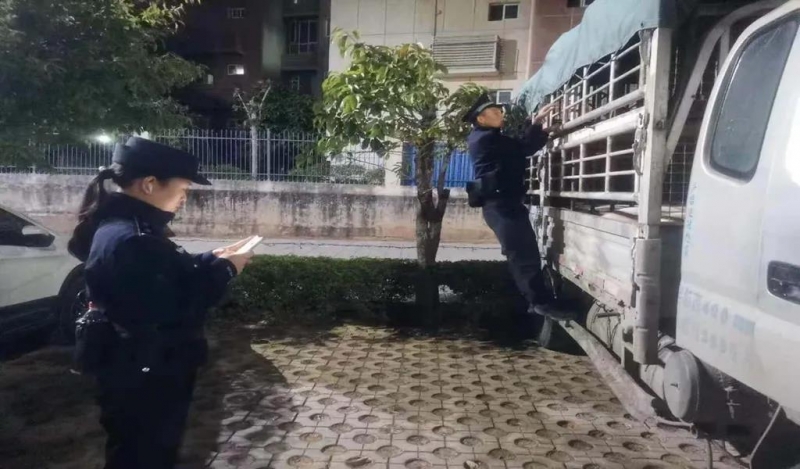 群众求助！发现12只大肥猪 “无证露宿”，短短1个多小时解决问题 (3).jpg