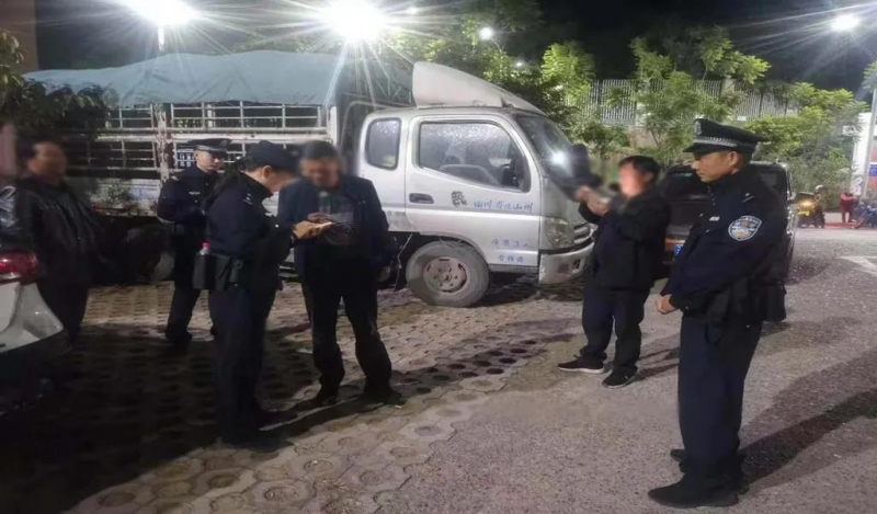 群众求助！发现12只大肥猪 “无证露宿”，短短1个多小时解决问题 (2).jpg