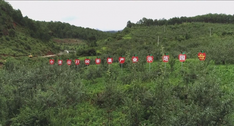 百名农科人才下基层 促宁蒗贫困户增收“拔穷根”2.jpg