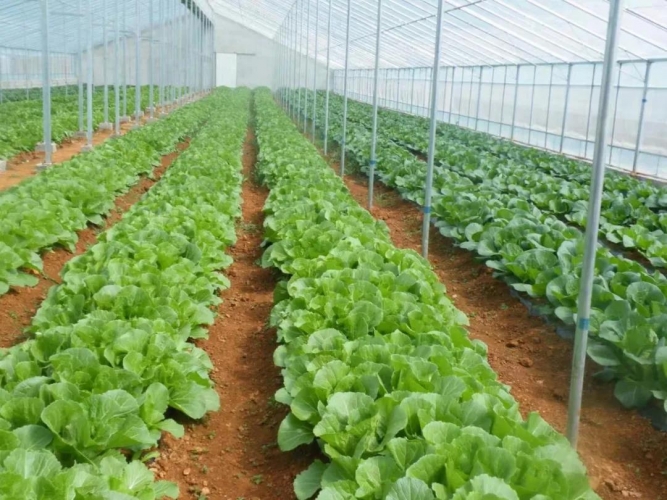 闯出一条绿色低碳发展的路子，古城区交出“十三五”亮眼生态答卷 (1).jpg