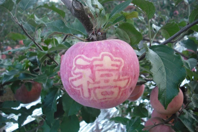 闯出一条绿色低碳发展的路子，古城区交出“十三五”亮眼生态答卷 (5).jpg