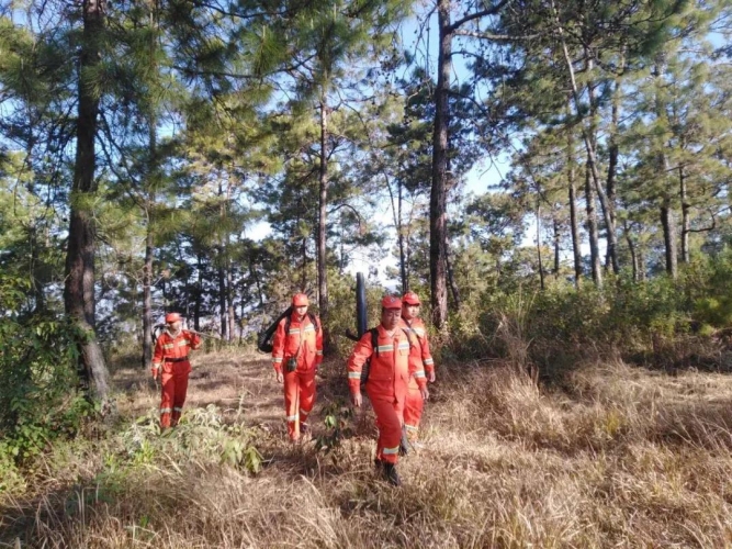 进入防火期以来，丽江全市未发生森林草原火灾 (2).jpg