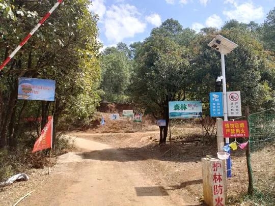 进入防火期以来，丽江全市未发生森林草原火灾 (5).jpg