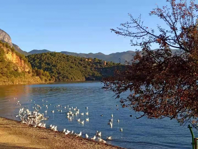 中央、省委环保督查及回头看整改 泸沽湖.jpg