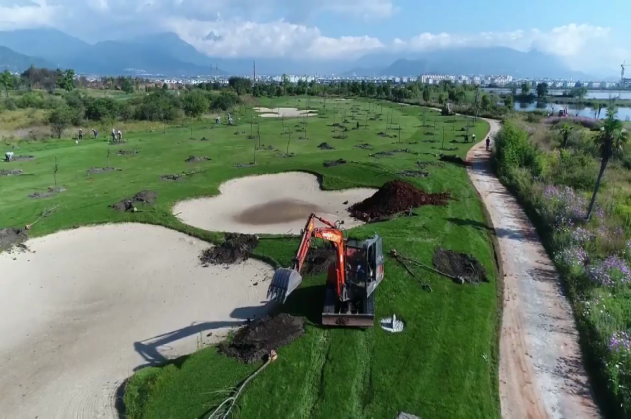 中央、省委环保督查及回头看整改 (1).png