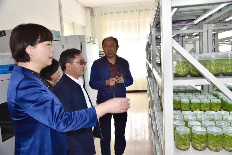 崔茂虎浦虹调研科技创新工作时强调：把科技创新作为推动发展的战略举措和关键抓手 (3).jpg