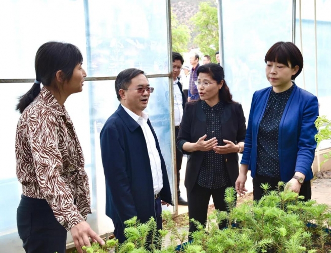 崔茂虎浦虹调研科技创新工作时强调：把科技创新作为推动发展的战略举措和关键抓手 (2).jpg