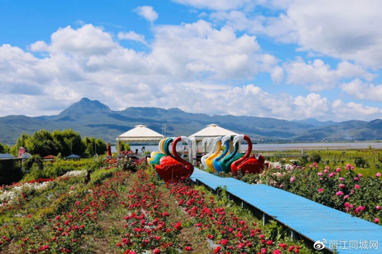 丽江3条红色线路入选省级示范线路 (3).jpg