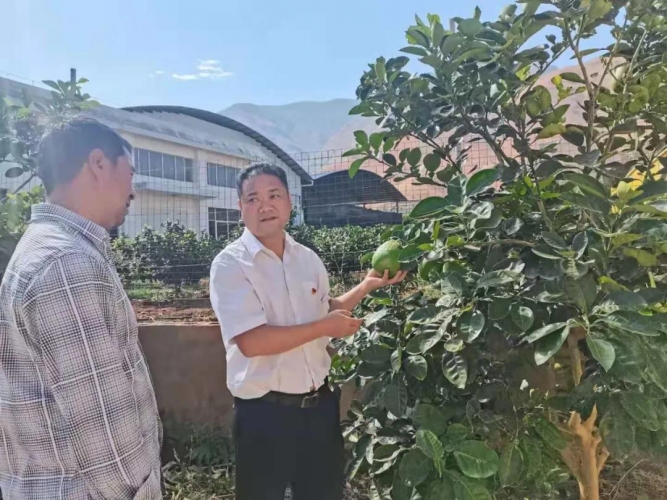 涛源绿色卫士 坚守金沙江畔的一片绿洲3.jpg