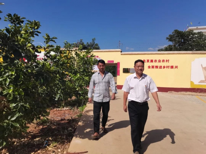 涛源绿色卫士 坚守金沙江畔的一片绿洲9.jpg