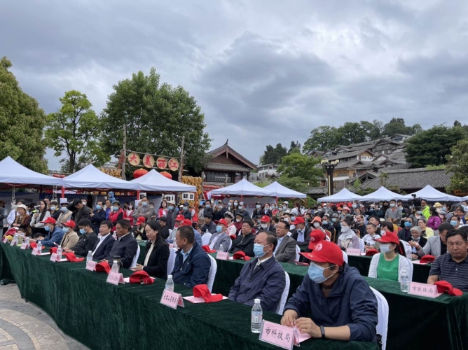 文旅融合丽江模式换挡提速 文旅惠民发布并启动文旅消费试点城市建设 (4).jpg