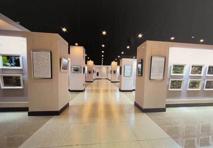 增强生物多样性保护意识认识COP15 丽江国际生物多样性日主题活动举行 (3).jpg