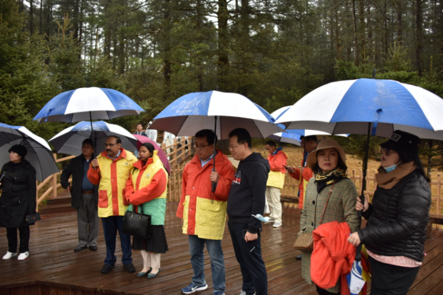 外国驻昆领团看丽江：遇见丽江之美 开启美丽之约1.png