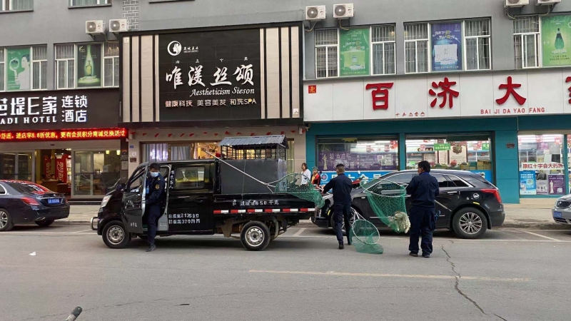 文明养犬，你可千万别掉“链”！ (1).jpg