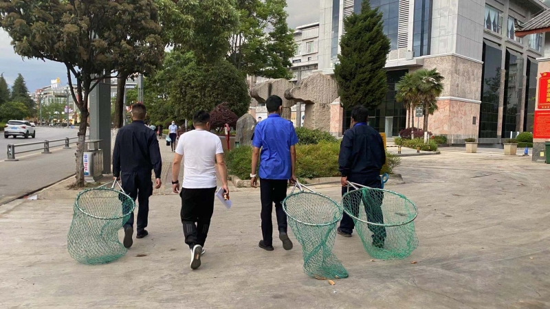 文明养犬，你可千万别掉“链”！ (3).jpg