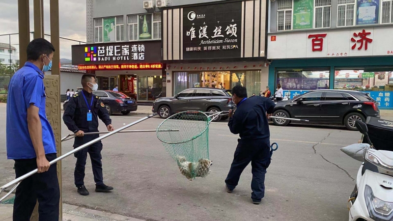 文明养犬，你可千万别掉“链”！ (2).jpg