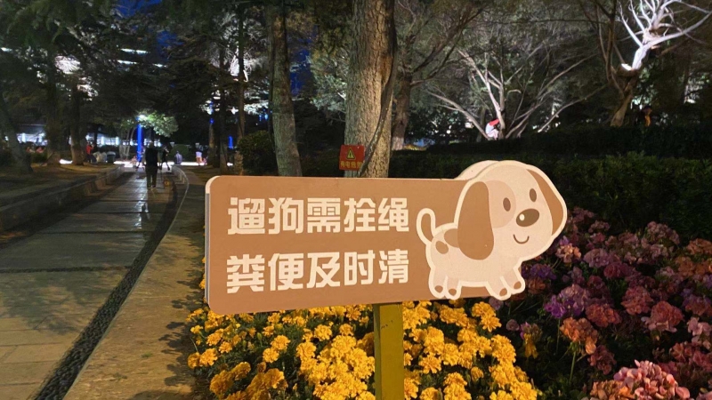 文明养犬，你可千万别掉“链”！ (6).jpg