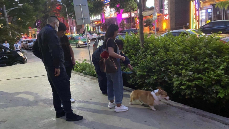 文明养犬，你可千万别掉“链”！ (10).jpg