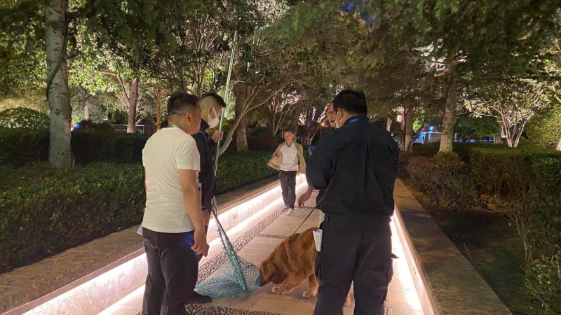 文明养犬，你可千万别掉“链”！ (8).jpg