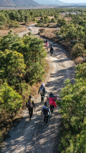 非必要不办赛 丽江茶马古道徒步挑战赛将暂停举办 (4).jpg