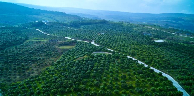 宁蒗入选云南省国家级乡村振兴重点帮扶县后，如何增强区域发展能力 在资金、就业、公.jpg