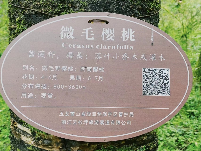 行摄丽江：镜头下展示丽江生物多样性之美 (1).jpg