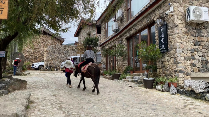 行摄丽江：镜头下展示丽江生物多样性之美 (3).jpg