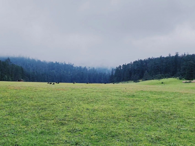 行摄丽江：镜头下展示丽江生物多样性之美 (7).jpg