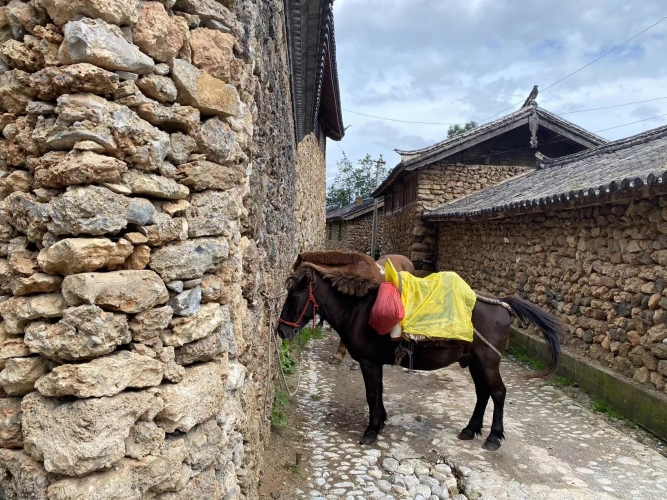 行摄丽江：镜头下展示丽江生物多样性之美 (6).jpg