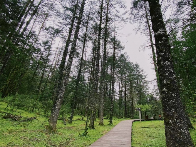 行摄丽江：镜头下展示丽江生物多样性之美 (8).jpg
