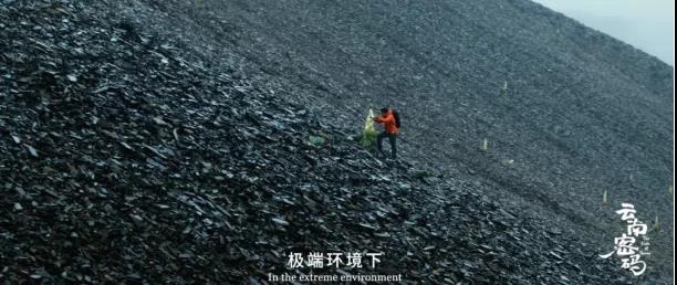 COP15云南宣传片发布！《云南密码》为您解密云南3.jpg