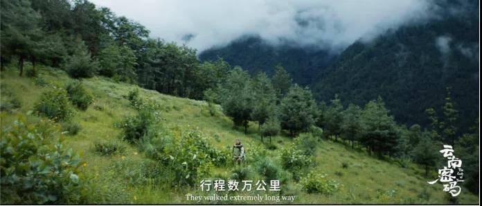 COP15云南宣传片发布！《云南密码》为您解密云南10.jpg
