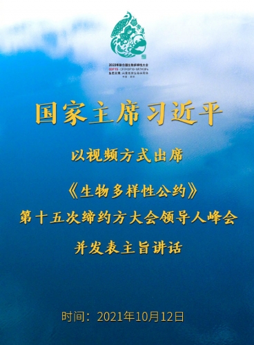 去水印   习近平讲话.jpg