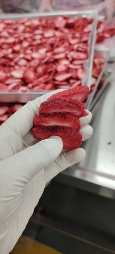 海关给力！丽江冻干食品首次出口德国