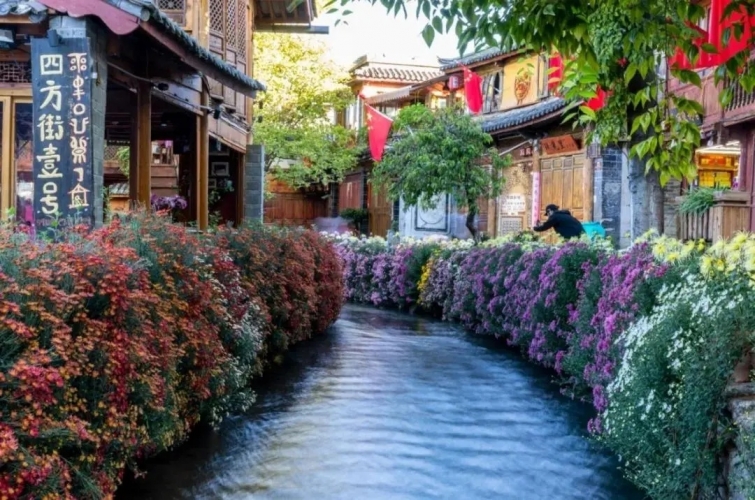 来丽江吧！游走在青山绿水间，遇见生物多样性之美