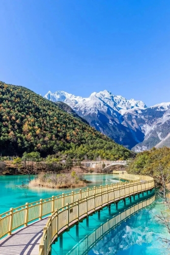 来丽江吧！游走在青山绿水间，遇见生物多样性之美