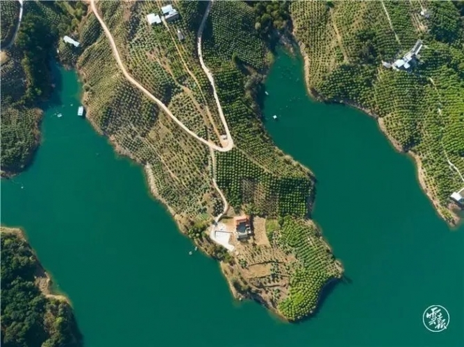 来丽江吧！游走在青山绿水间，遇见生物多样性之美