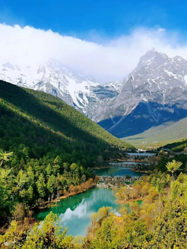 来丽江吧！游走在青山绿水间，遇见生物多样性之美