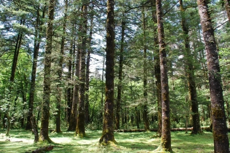 来丽江吧！游走在青山绿水间，遇见生物多样性之美
