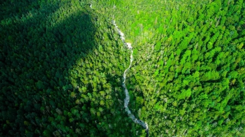 来丽江吧！游走在青山绿水间，遇见生物多样性之美
