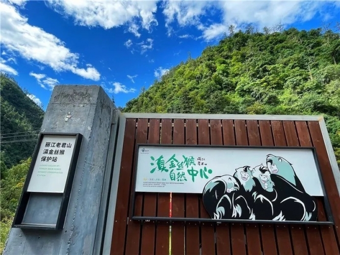 来丽江吧！游走在青山绿水间，遇见生物多样性之美