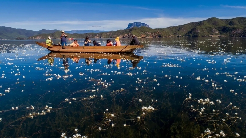 来丽江吧！游走在青山绿水间，遇见生物多样性之美